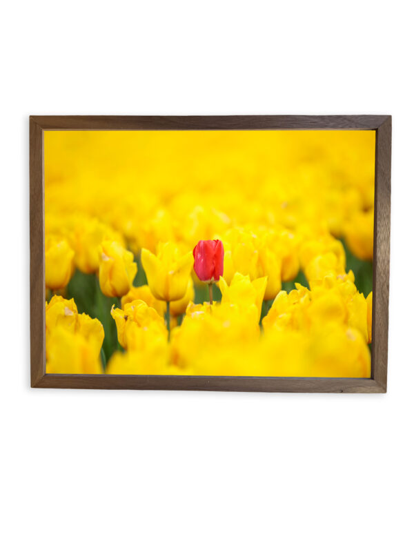 Elegant Walnut Decor Wall Art Frame with Beautiful Artwork — Handcrafted for Timeless Charm - Image 20